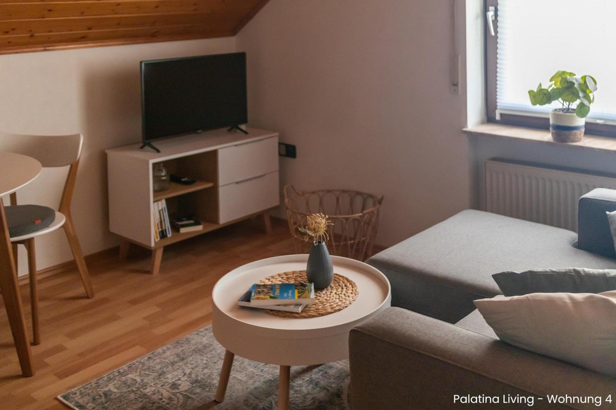 Appartement Palatina Living à Fischbach Extérieur photo