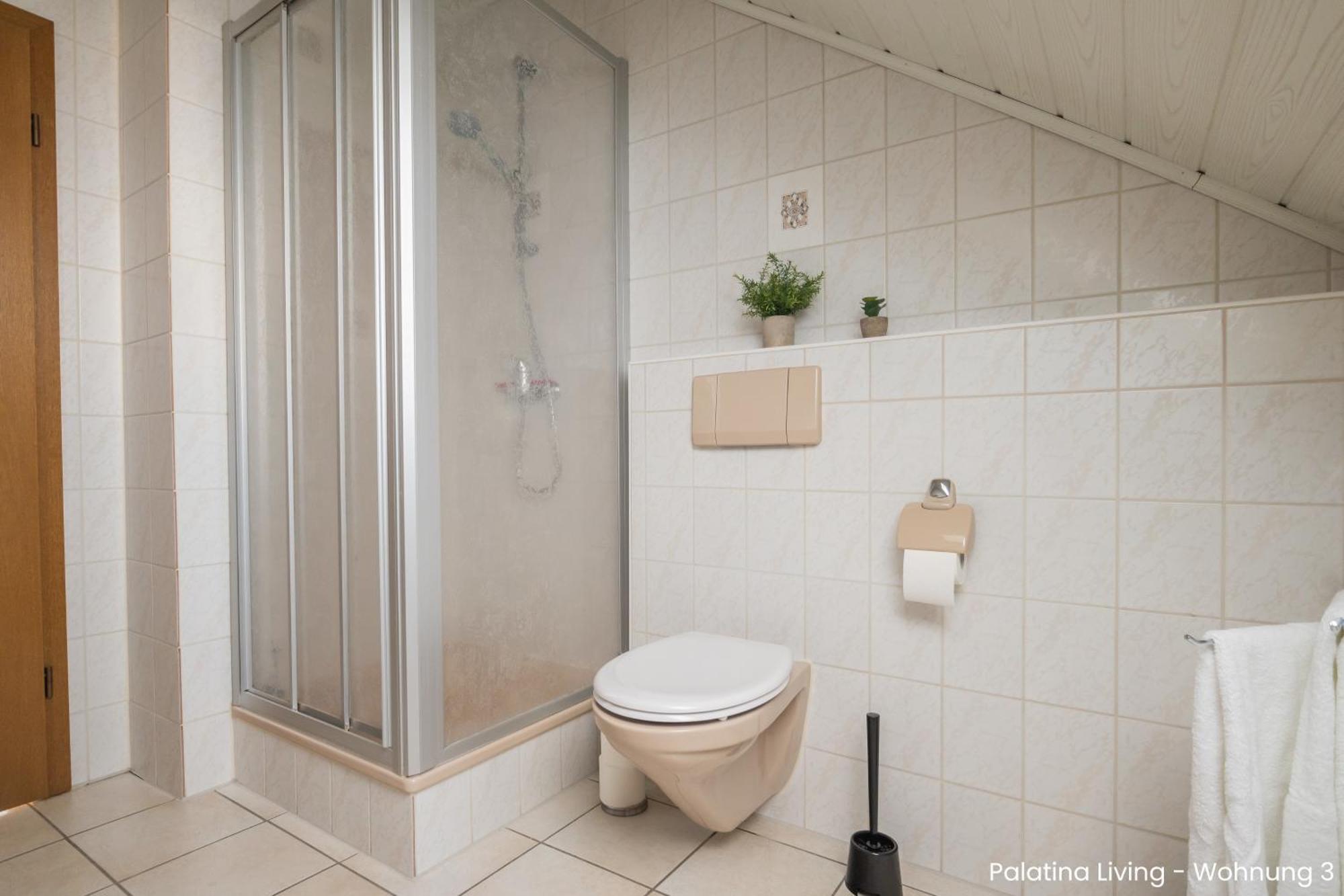Appartement Palatina Living à Fischbach Extérieur photo
