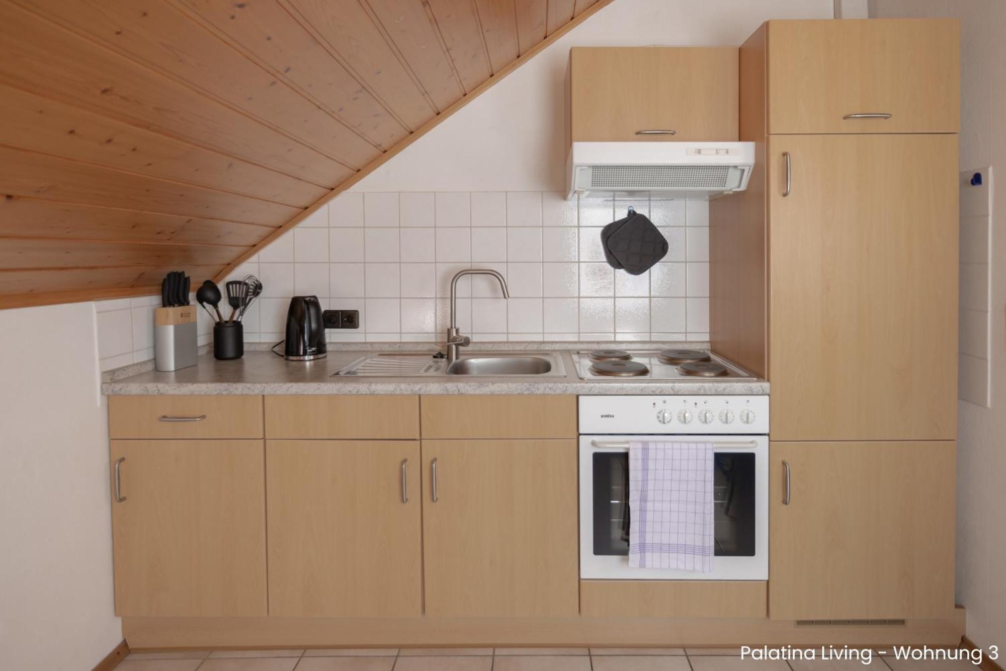 Appartement Palatina Living à Fischbach Extérieur photo