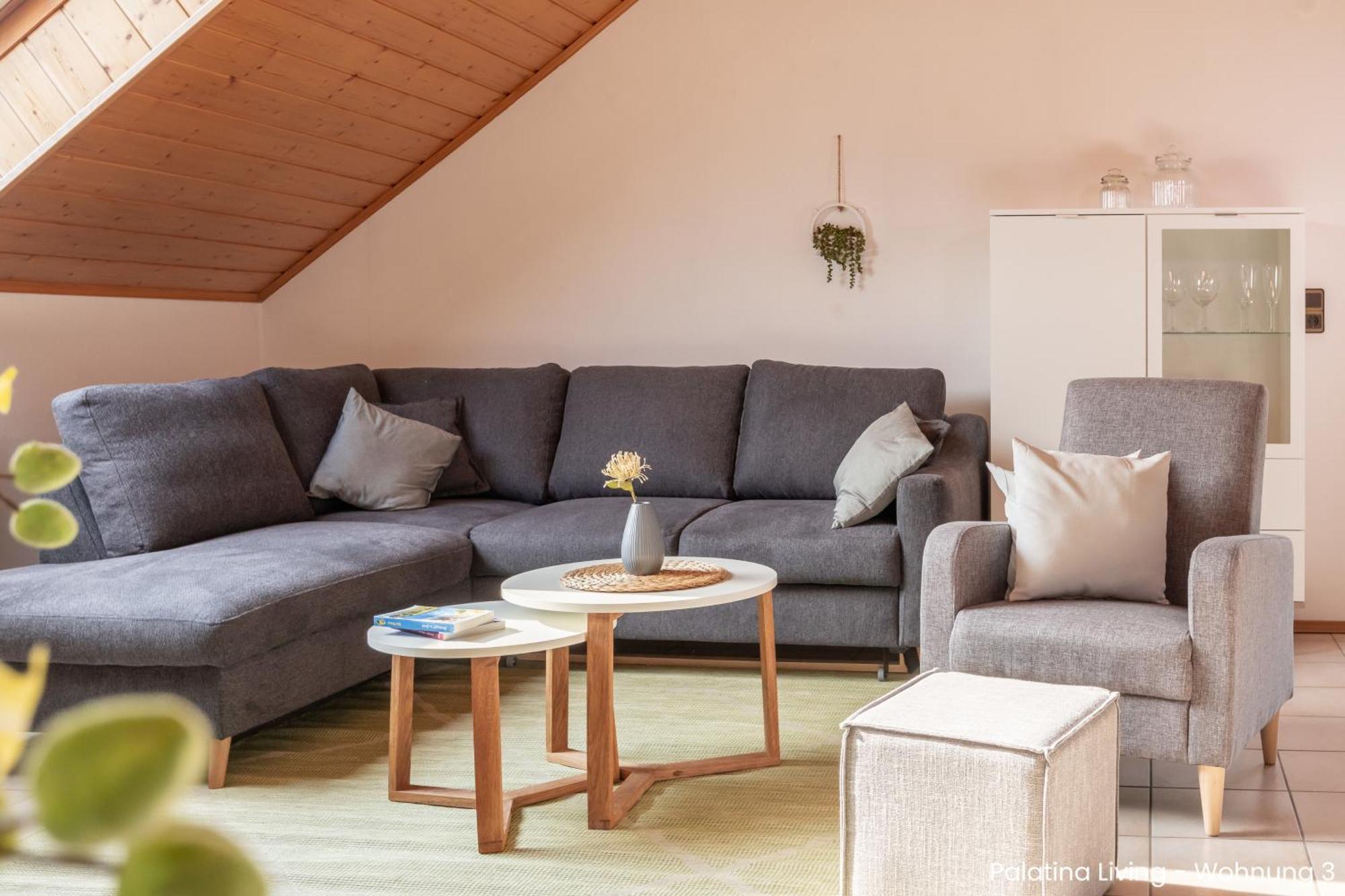 Appartement Palatina Living à Fischbach Extérieur photo