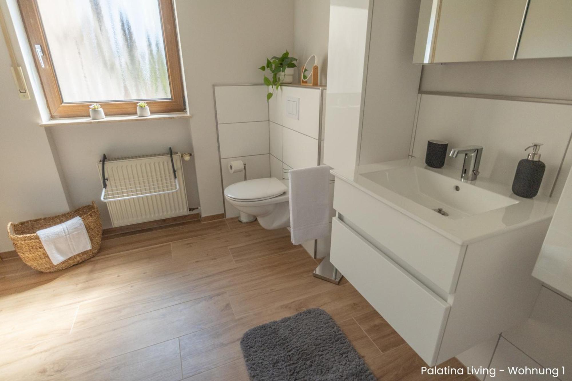 Appartement Palatina Living à Fischbach Extérieur photo