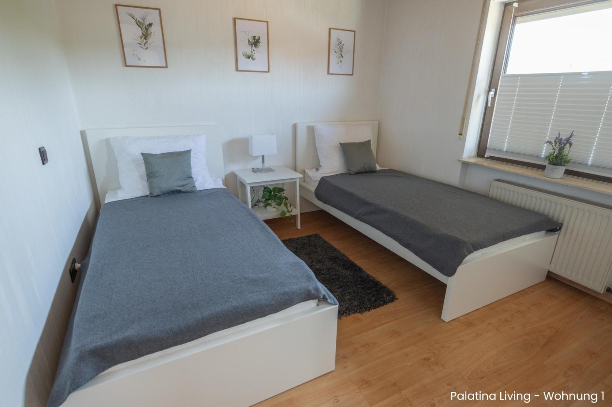 Appartement Palatina Living à Fischbach Extérieur photo