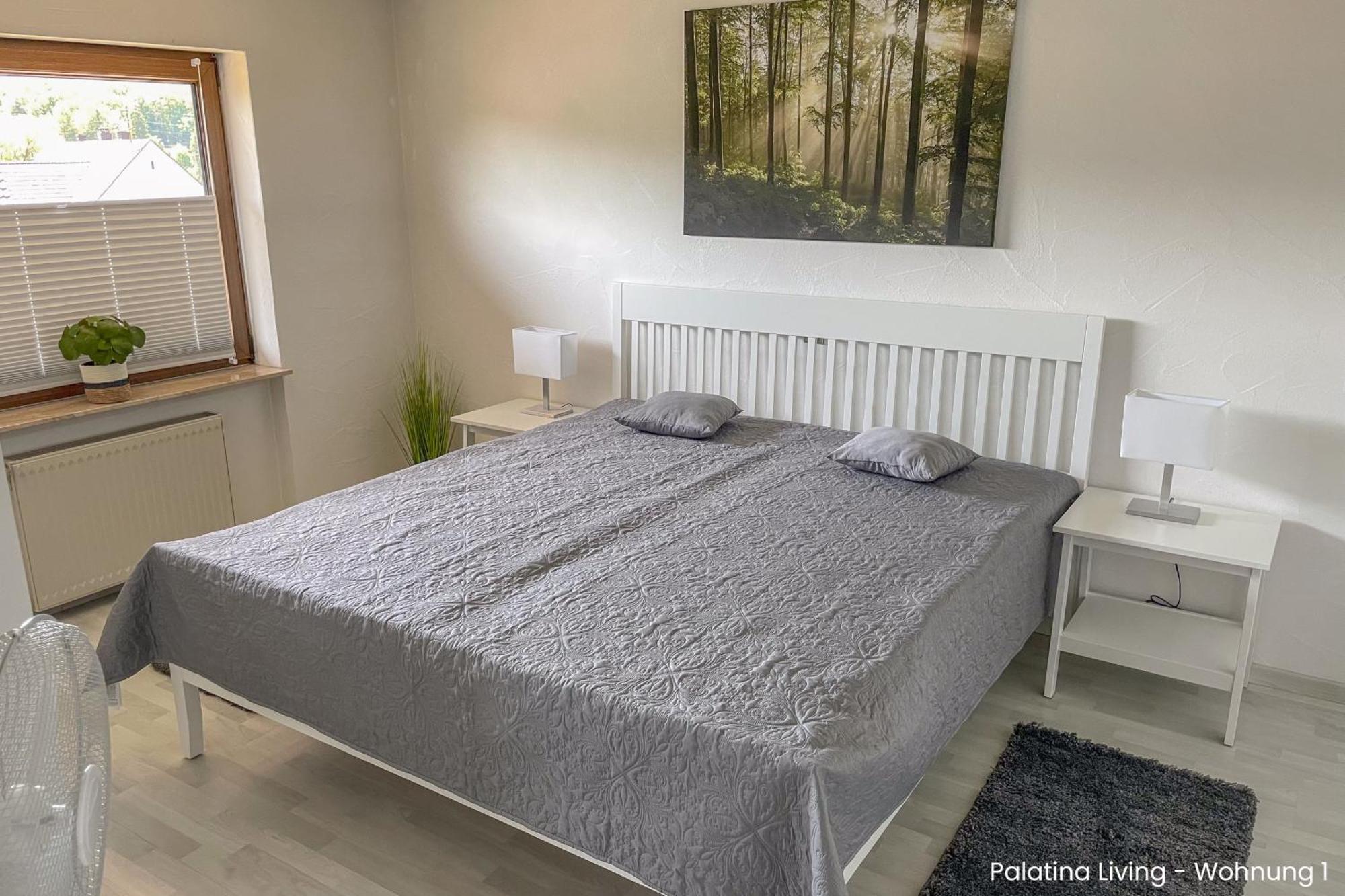 Appartement Palatina Living à Fischbach Extérieur photo
